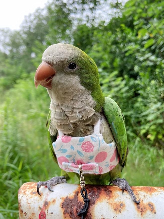 Bird Flight Harness Vest, Parrot Flight Suit with Leash for Parakeets Cockatiels, Bird Flying Clothes with Rope and Handle for Outdoor Activities Training (Pink Without Leash,Large)