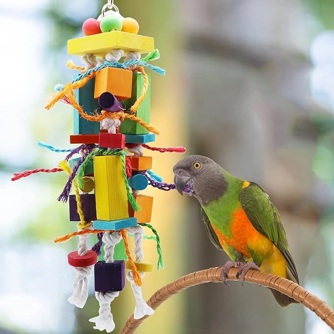 Wontee Bird Toys Parrot Chewing Wood Blocks Tearing Toys for Parakeet Cockatiel Sun Conure African Grey Indian Ringnecks Small and Medium Sized Birds (Medium)