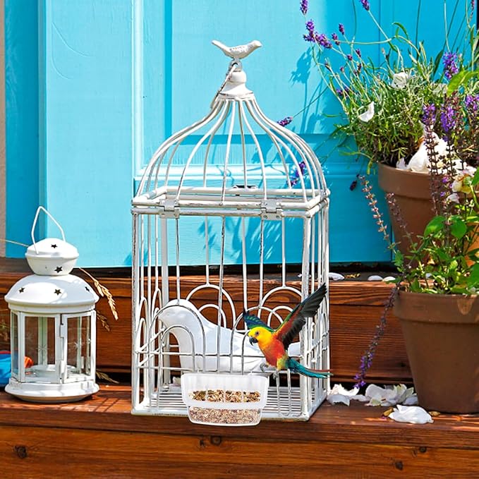 NOLITOY 2pcs Plastic Parrot Feeders, Universal Clear Hanging Bowls for Cockatiel Budgie Conure Macaw Parakeet Small Animal