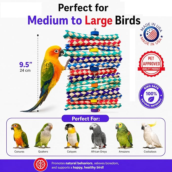 Bonka Bird Toys 1798 Big Foamy Delight Shreddable Bamboo Finger Trap and Foam Bead Bird Toy 9.5" x 6" for Small to Medium Birds Enrichment Play Amazon Conure and Similar