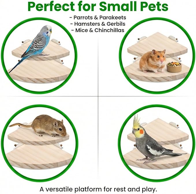 2 Pcs Flat Perches for Bird Cages Flat Bird Perch Platform Birds Perch Birds Cages Accessories Fan Shape for Parakeet Conure Cockatiel Budgie Rat Chinchilla Gerbil Hamster (2 Size)