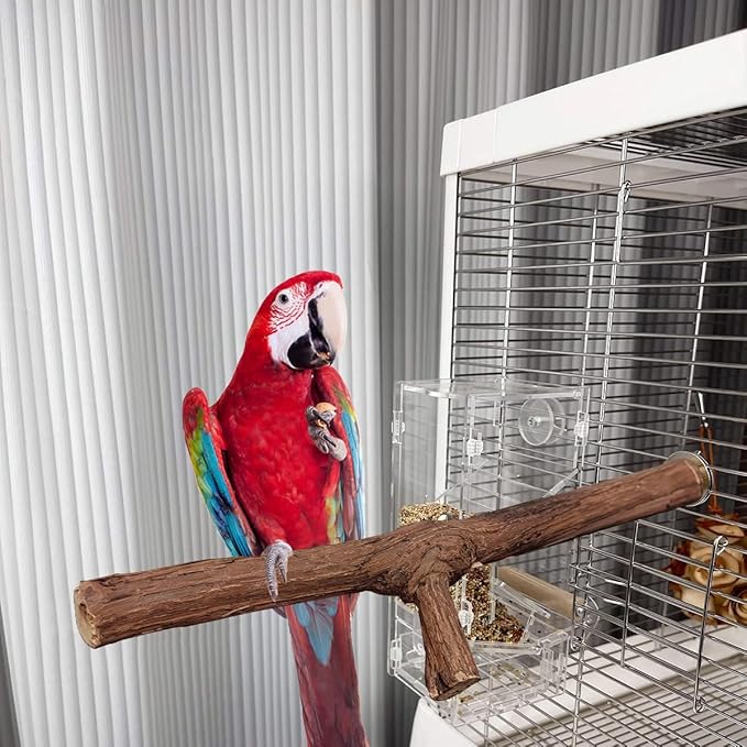 4 Pcs Natural Wood Bird Perch for Cage Parrot Stand, 2 Grape Wood Perches, A Stand Fork Standing Branch, A Paw Grinding Fork, Training Branches & Fork Toys for Parakeets, Budgies, Finches