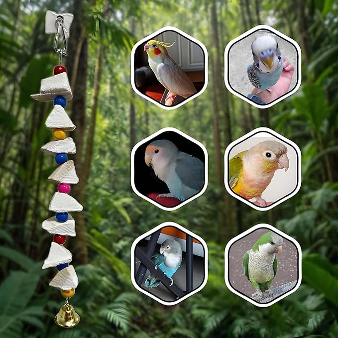 Parrot Toys 4-Pack with Cuttlebone for Birds - Calcium Chew Toys & Grinding Stone for Parakeets, Budgies, Cockatiels, Lovebirds - Promotes Beak Health, Prevents Destructive Chewing, Easy to Install