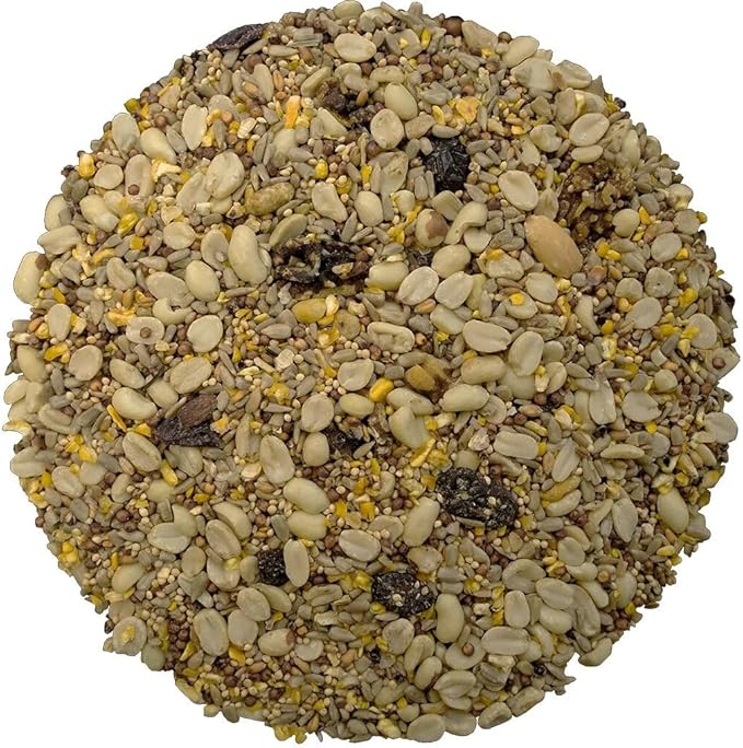 Bird Pro Classic Bird Seed (5 Pounds, Classic No Mess)
