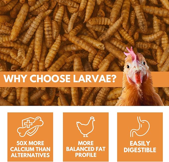 Brooks Brand Black Soldier Fly Larvae Chicken Treats, Mealworms Alternative, Grubs for Chickens, High Calcium for Laying Hens, Made in USA, 1 lbs