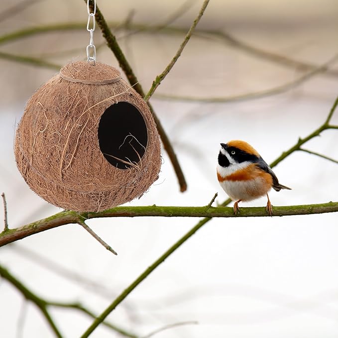 Natural Coconut Shell Bird Nest,Hanging House,Parrots Hide Hut Habitats Decor,Parrot Cage Accessories for Lovebirds Cockatiel Canary Budgies