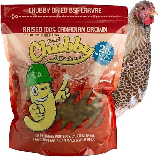 Chubby Dried Black Soldier Fly Larvae | 2 lbs | North America Grown – High Calcium Sustainable Protein Snack for Chickens, Laying Hens, Wild Birds & Reptiles