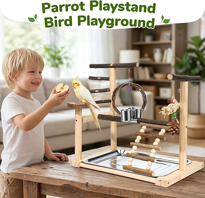 Bird Playground,Parrot Stand with Feeding Cup, Swing, Chew Toys,Removable Tray,Suitable for Small to Medium Birds, Ideal Perch for Budgerigars, Parakeets,Cockatiels