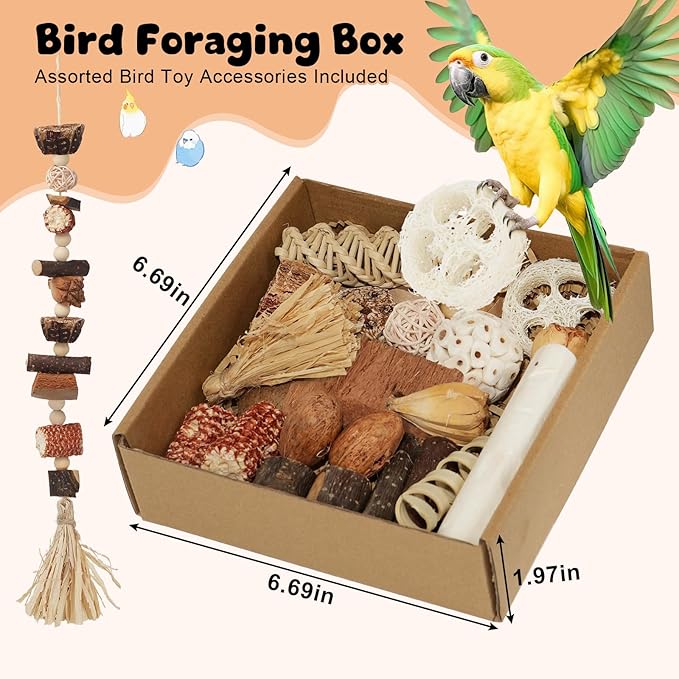 Bird Toys Parrot Natural Foraging Box Parakeet Toys DIY Hanging String for Cockatiels,Conures,Love Birds,and Other Small to Medium Birds Cage Accessories (Medium)