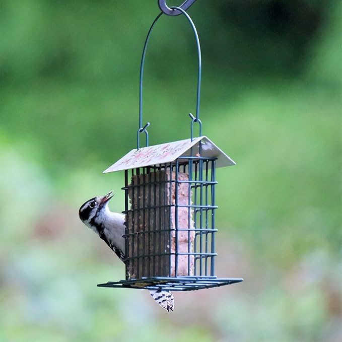 Wild Wings Decorative Metal Suet Cage Feeder for Outdoor Décor Wild Bird Feeders, 1 Suet Cake Capacity, Hanging Suet Feeder, Black