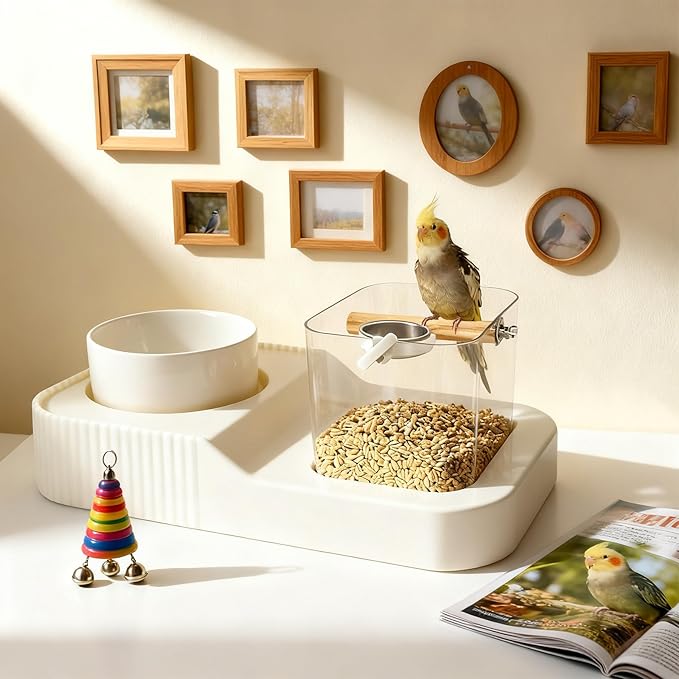 Bird Desktop Training Stand with Wood Stand, Bowls and Brush, Bird Playstand Portable Training Playground for Budgies, Cockatiels, Lovebirds,Conures, Parakeet Cage Accessories