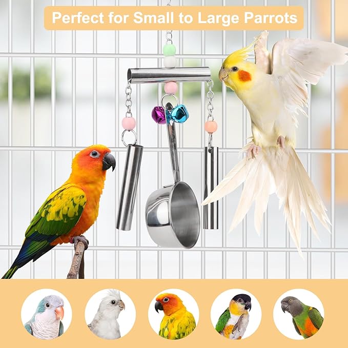 Hypeety Stainless Steel Bird Bell Toys Heavy Duty Hanging Spoons Rings Safe Metal Cage Hanging Bells Toy for Cockatoos Macaws African Grey Large Parrots and Birds (Bells+Spoon)