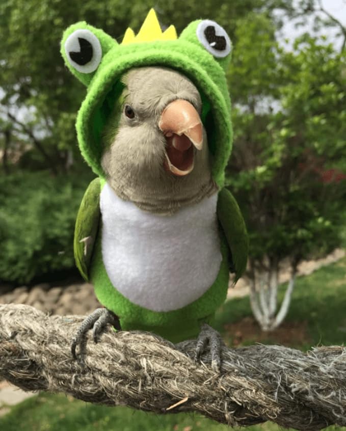 Bird Costume Bird Diaper Flight Suit Frog Shape Hoodie Bird Clothes Cosplay Photo Prop for Parrots Parakeet Cockatiel Sun Conure, Bird Hoodie Small Animals Apparel (Pink with Diaper, Small)