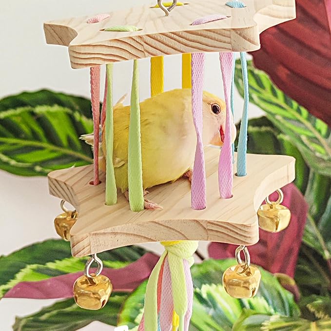 Bird Stand Perch Toy,Interactive Rocking Parakeet Toy and Perch, Wooden Exercise Wheel Cockatiel Toy, Intelligence Puzzle Enrichment Toys,Bird Playground Play Stands for Conure Budgie(E)