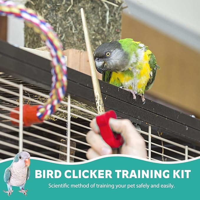 Parrot Training Clicker with Target Stick, Getting Started Bird Clicker Training Kit, All Bird Breeds Training Stick Foster Discipline and Behavior Training, for Parrots Birds Lovers