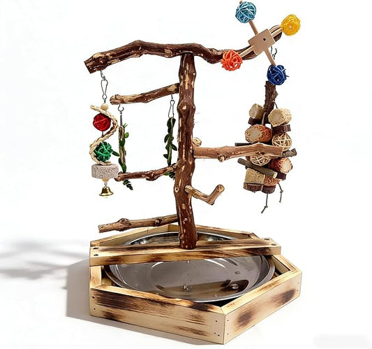 Wooden Bird Play Stand for Parakeets & Cockatiels, Natural Wood Perch Gym with Hanging Toys, Removable Metal Tray, Multi-Level Bird Playground for Small to Medium Birds