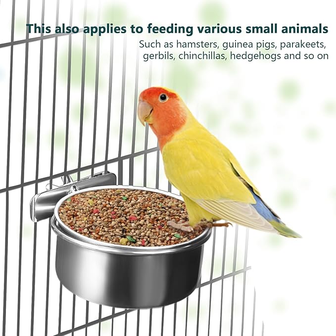 BCHARYA 2 Pack Stainless Steel Bird Food Bowls with Clamp - Rust Proof Metal Feeding Cups for Parrot Cage, Easy Clean Water Dish for Cockatiel Conure Budgie Parakeet Small Animal (3.9 Inch, Silver)