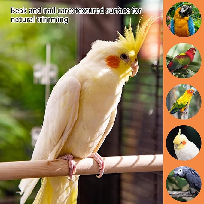 Bird Perches for Cage, Natural Wood Bird Perches Set of Five, Essential Foot Exercise and Health Maintenance for Small to Medium Birds, Multiple Lengths Include 10cm 15cm 20cm 25cm 30cm