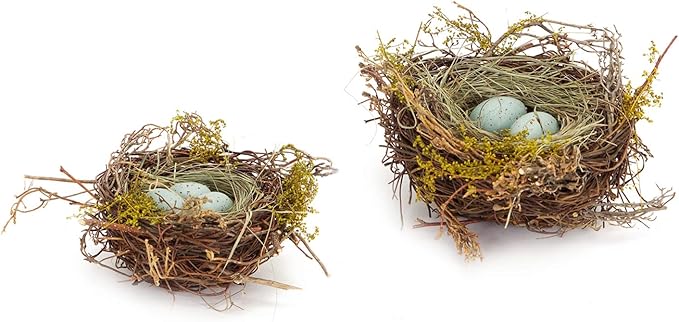 The Bridge Collection Faux Decorative Bird's Egg Nest - Cute Bird Nest with Eggs Tabletop Decoration for Spring, Summer, Everyday Home Decor (Robin's Eggs - Set of 2)