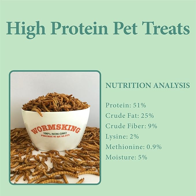 WORMSKING 3LB Dried Mealworms, Great Treat for Chicken, Duck, Birds, Reptile, Hamster,Hedgehog, Pigeon. Great Bird Watching Gift
