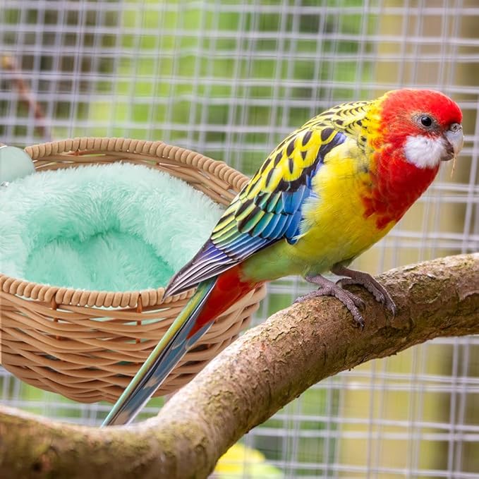 VTurboWay 1 Pack Bird Rattan Nest with 1 Pcs Nest Mat Parrot Egg Laying and Breeding Nest for Parrots Cockatiels Budgerigars Finches Canaries