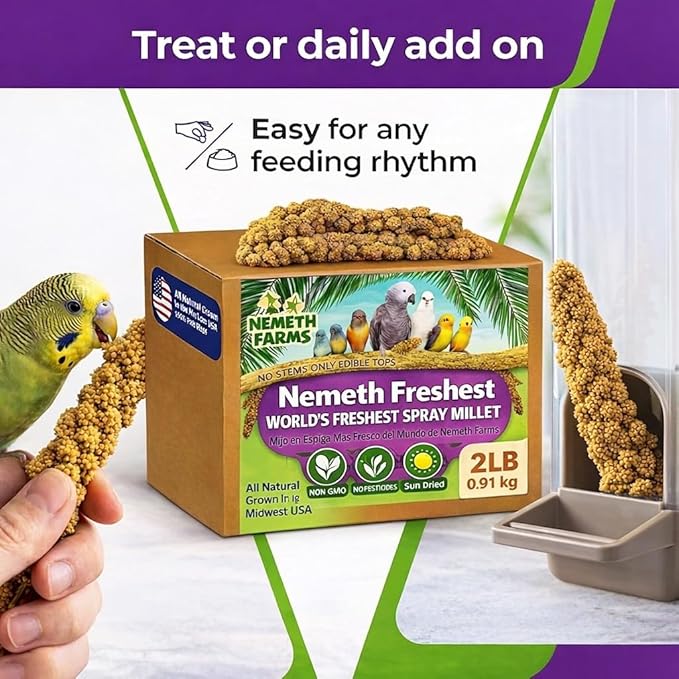Nemeth Farms Spray Millet - Edible Tops Only, Non-GMO and Sun-Dried - 2 lbs for Cockatiels, Lovebirds and Budgies