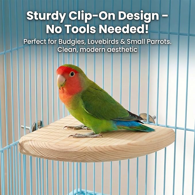 2 Pcs Flat Perches for Bird Cages Flat Bird Perch Platform Birds Perch Birds Cages Accessories Fan Shape for Parakeet Conure Cockatiel Budgie Rat Chinchilla Gerbil Hamster (2 Size)