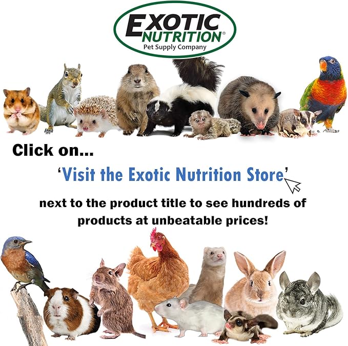 Nectar Pods (Honey) - Calcium-Fortified Jelly Fruit Treat - Sugar Gliders, Marmosets, Squirrels, Parrots, Cockatiels, Parakeets, Lovebirds, Conures, Hamsters, Geckos, Kinkajous & Other Small Pets…