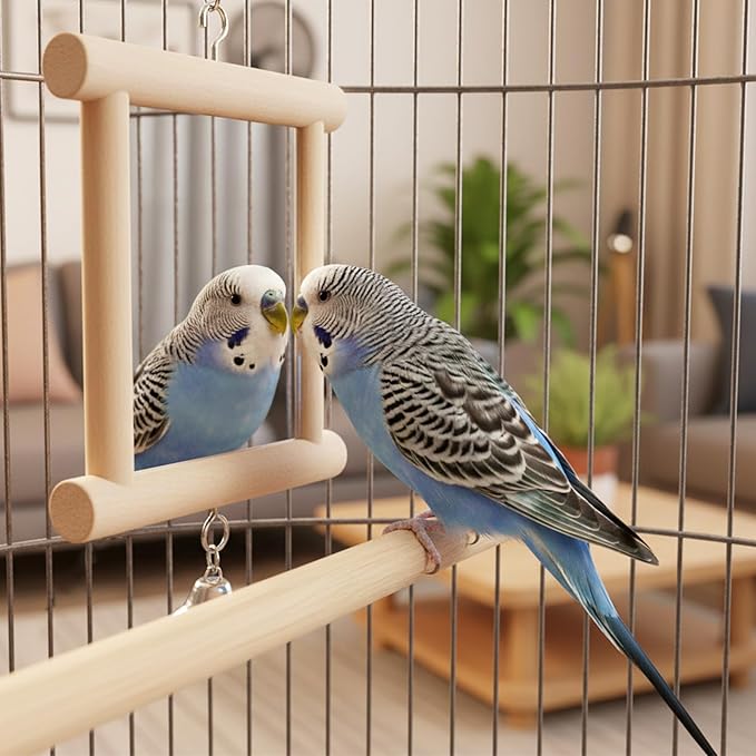 Hypeety Pet Bird Mirror with Bell Interactive Parrot Toy for Parrot Macaw African Greys Budgies Cockatoo Parakeet Cockatiels Conure Lovebird Cage Bells Mirror (C)