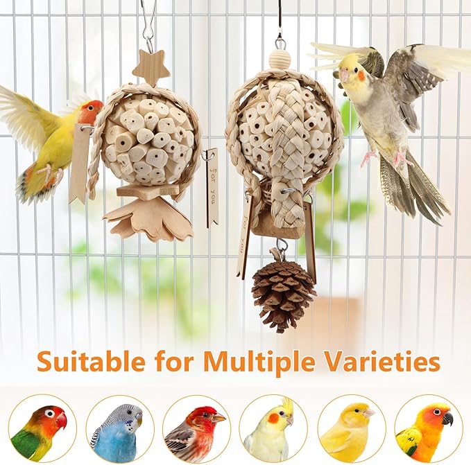 Litewoo Bird Foraging Shredding Hanging Toys 2PCS Natural Soft Sola Balls Beak Conure Chewing Toys Cage Accessories for Budgie Lovebird Cockatiel Conure Parrot Other Small and Medium Size Birds