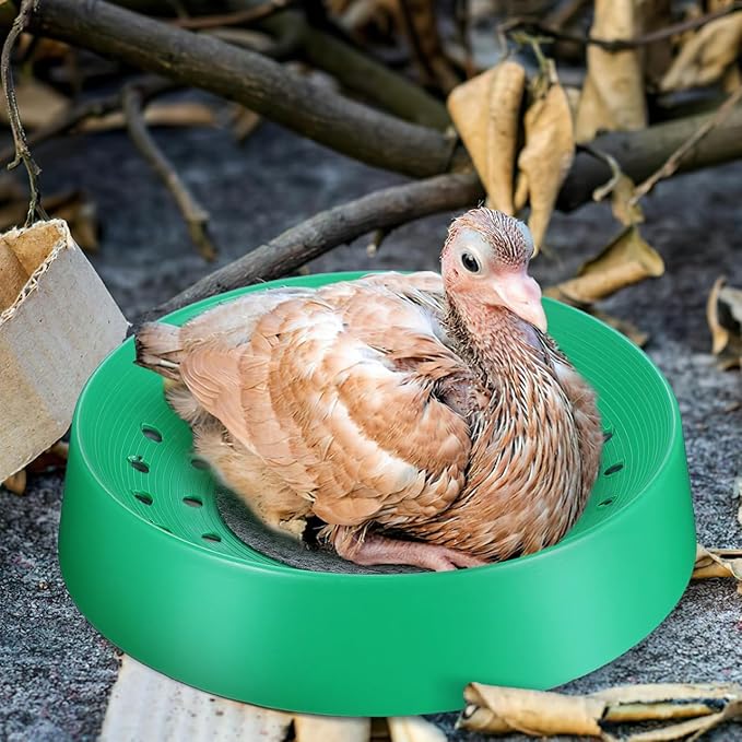 10pcs Pigeon Nest Breeding Basin Washable Bird Egg Rest Bed for Parrots Pigeon Supplies for Home Use