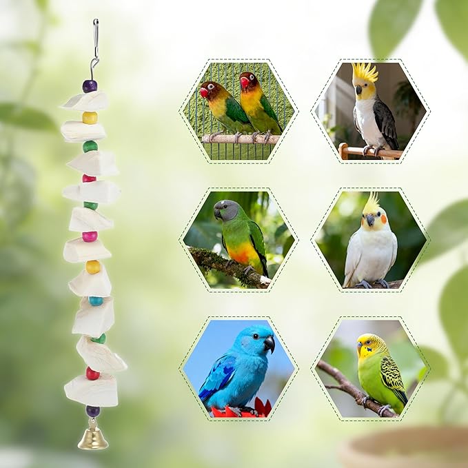 Bird Toys with Cuttlebone, Prevents Destructive Chewing, Grinding Stone for Bird, White, Colorful, 3 Pcs