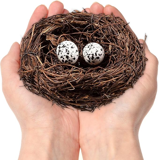 Birds Nest with Eggs Easter Rattan Nest Decorating, Mini Artificial Birds Nest for Easter Crafts Home Garden Decor Wedding Party (4 Inches)