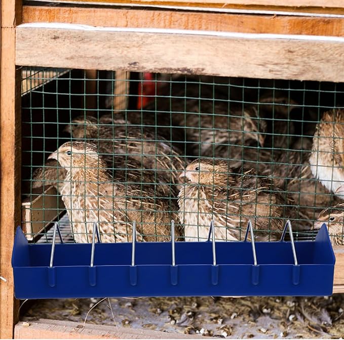 BESPORTBLE Thickened Plastic Food Tank for Birds Versatile Feeding Trough with Multiple Slots for Pigeons Parrots and Small Birds - Easy to and Maintain (15.24X4.13X3.15 Inch)