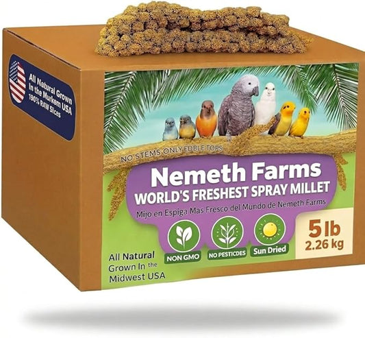 Nemeth Farms Spray Millet - Edible Tops Only, Non-GMO and Sun-Dried - 5 lbs for Parakeets, Conures and Cockatiels