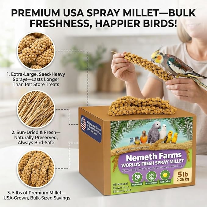 Nemeth Farms Spray Millet - Edible Tops Only, Non-GMO and Sun-Dried - 5 lbs for Parakeets, Conures and Cockatiels