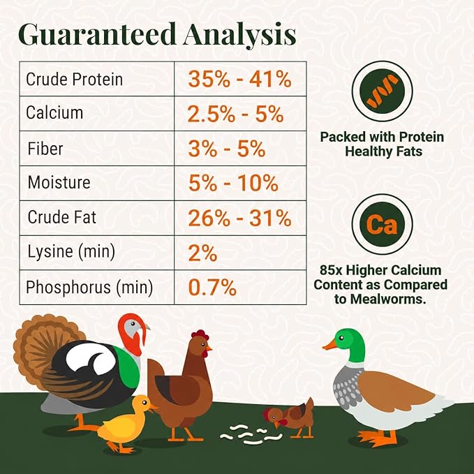 Natural Black Soldier Fly Larvae for Chickens, 85X More Calcium Than Mealworms-High Protein Grub Food Chicken Treats for Hens, Probiotic-Rich Chicken Feed, Calcium-Dense Bird Treat 5lb