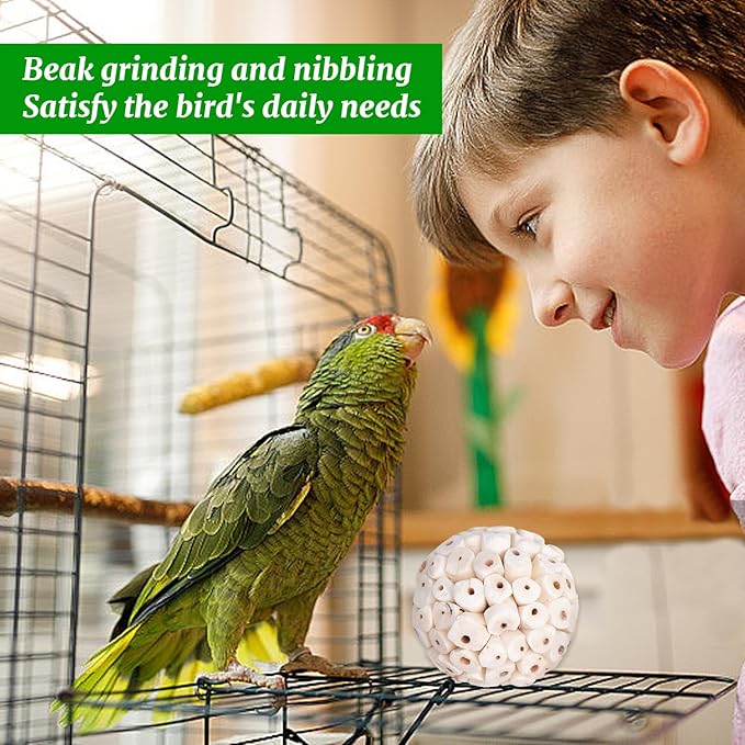 9 Pieces Bird Parrot Chew Toy Sola Balls, Natural Parrot Soft Chew Shredding & Foraging Toy, Bird Foot Balls for Cockatiel Conure Quaker Budgie Parakeet Bunny Guinea Pig Chinchilla Rabbit