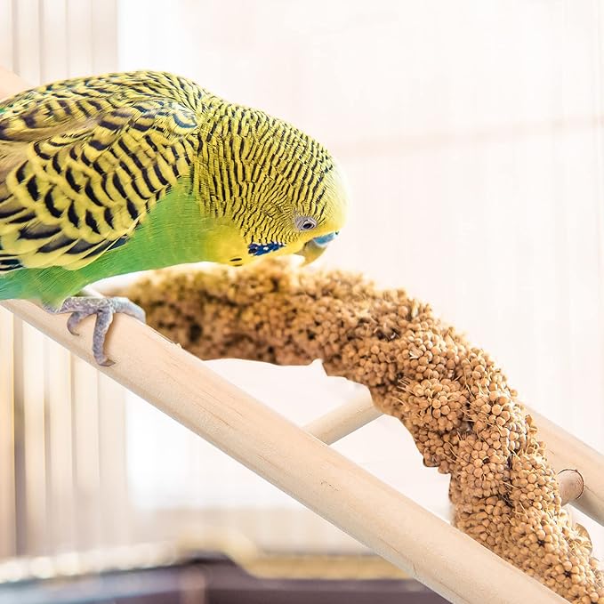 Kigeli 6 Pcs Wood Bird Ladder for Cockatiels, Small Hanging Bird Ladder for Cage, Parrot Step Hanging Climbing Toys for Pets Parakeets, Cockatoo and Lovebirds