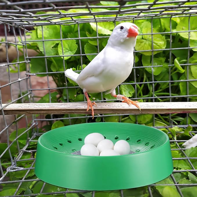 Balacoo 10 Pcs Pigeon Nest Bowl, Durable Plastic Pigeon Nesting Box with Comfort Pad, Breathable Washable Bird Breeding Hatching Bowl for Parakeet Quails Doves and Small Birds (Green)