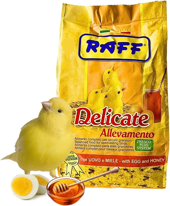 RAFF Delicate Allevamento 500g Bird Food - Nutritious Egg and Honey Paste Bird Treat for Canaries, Parakeets, Finches, Cockatiels, and Lovebirds - Supports Breeding and Year-Round Health