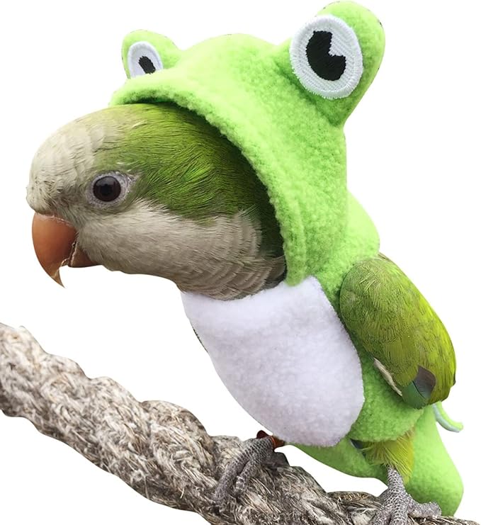 Bird Costume Diaper Flight Suit Frog Shape Hoodie Clothes Cosplay Photo Prop for Parrots Parakeet Cockatiel Sun Conure, Small Animals Apparel (Green with Diaper, Small), (BPF1)
