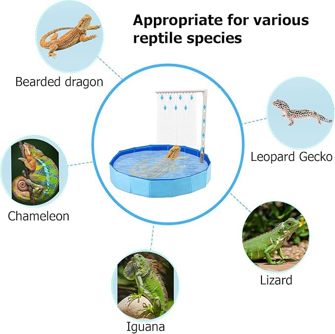 Large Electric Bearded Dragon Pool, Electric Bathtub for Bearded Dragons, Bearded Dragon Pool, Bearded Dragon Swimming Pool with Faucet, Bearded Dragon Accessories, Bath for Bearded Dragon