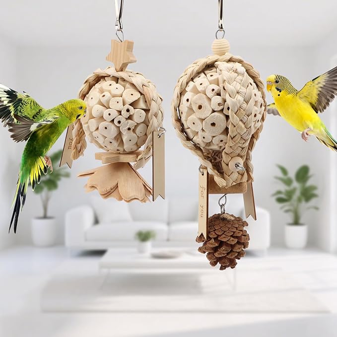 Litewoo Bird Foraging Shredding Hanging Toys 2PCS Natural Soft Sola Balls Beak Conure Chewing Toys Cage Accessories for Budgie Lovebird Cockatiel Conure Parrot Other Small and Medium Size Birds