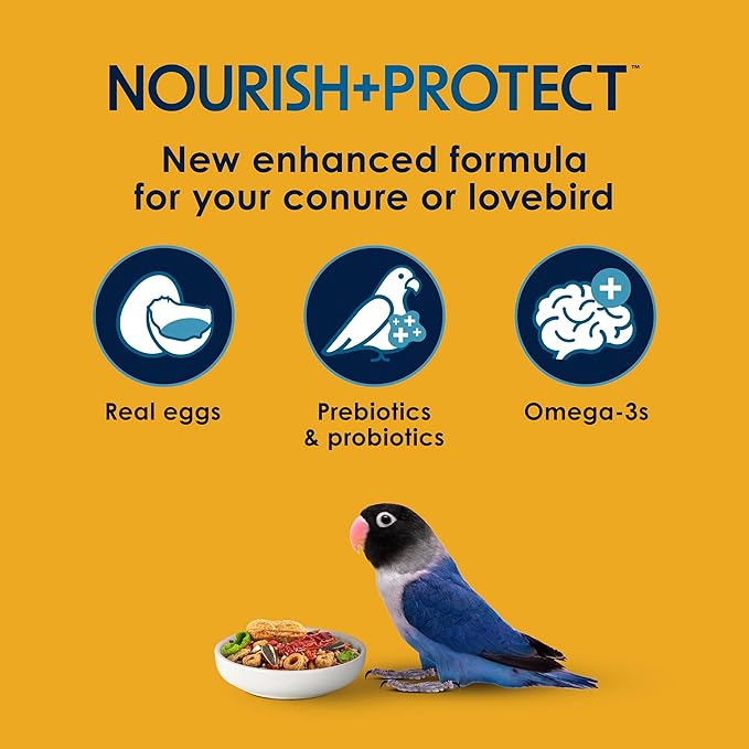 Kaytee Forti-Diet Pro Health Egg-Cite Pet Conure & Lovebird Food, 3 Pound