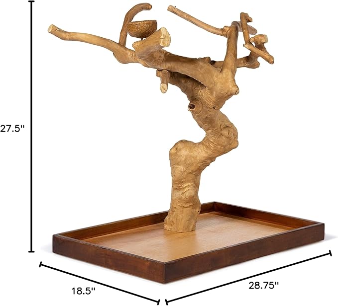 Coffeawood Tree Mini Table Top (Large)
