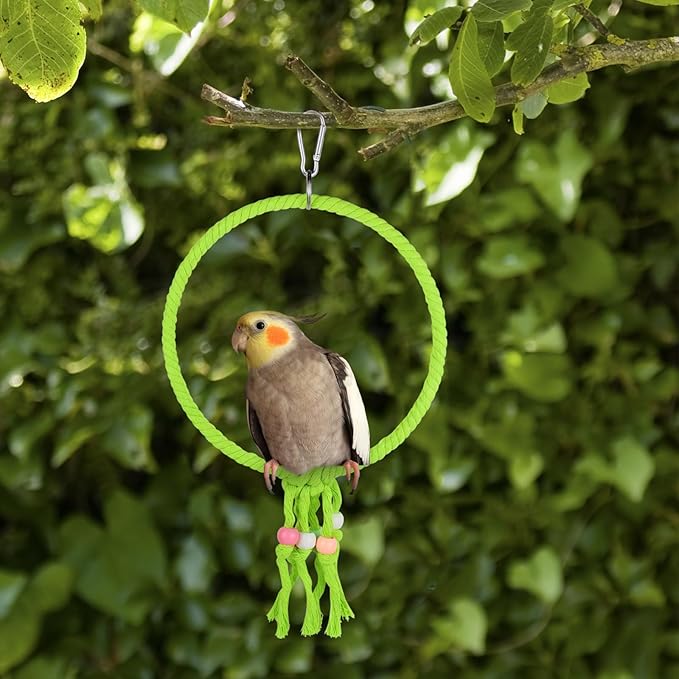 Bird Swing, 20 CM Diameter Hanging Parrot Swing with Colourful Beads, Swing Parrot Toys Cotton Rope Ring Bird Cage Toys for Budgie, Cockatiel, Canary, Parakeet, Finch (Green)