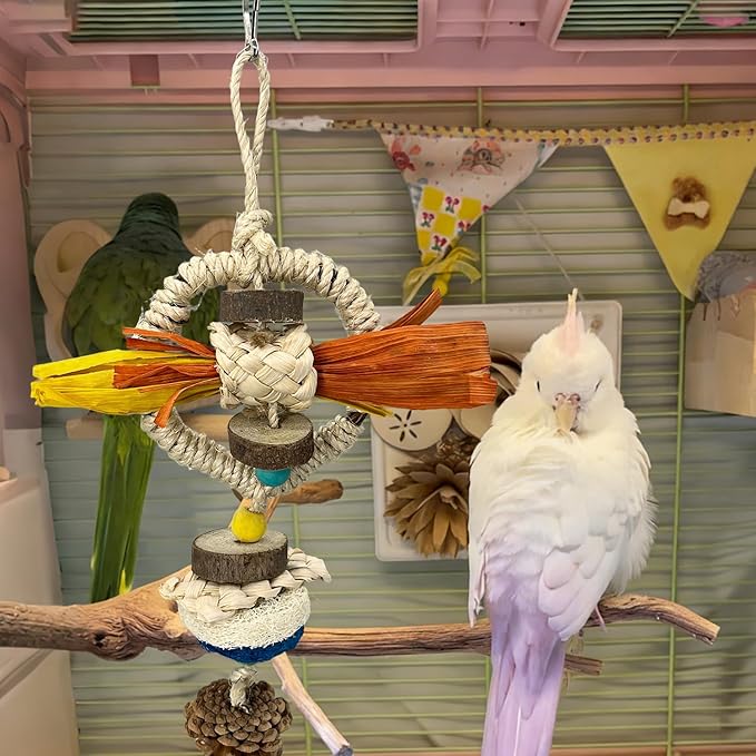Parakeet Toys, Natural Hanging Bird Chewing & Foraging Toy with Corn Foliage and Seagrass, Beak-Safe Chewer for Conures, Cockatiels, Senegal Parrot and Small to Moderate-Sized Birds