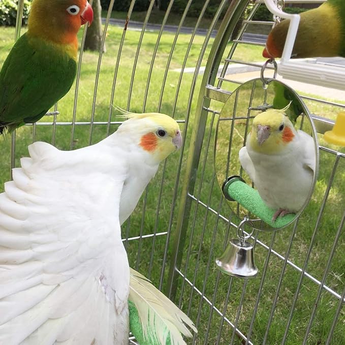 Bird Mirror Toy with Bell Swing Hanging Ringer Leather Mirror Toy Parrot Cage Accessories Decoration for Small and Medium Parakeet Cockatiel Finch Lovebird Conure Budgie Cockatoo African Grey (E)