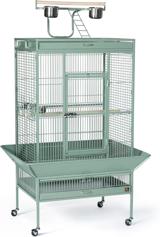 Prevue Hendryx Pet Products Wrought Iron Select Bird Cage 3153SAGE, Sage Green, 30-Inch by 22-Inch by 63-Inch